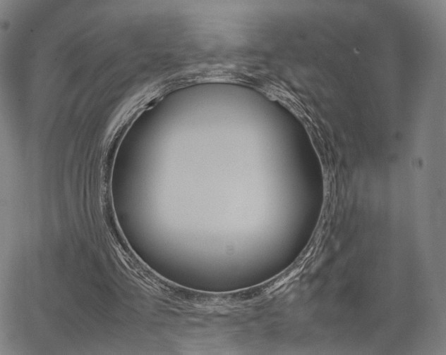 X0000067520293200604071031