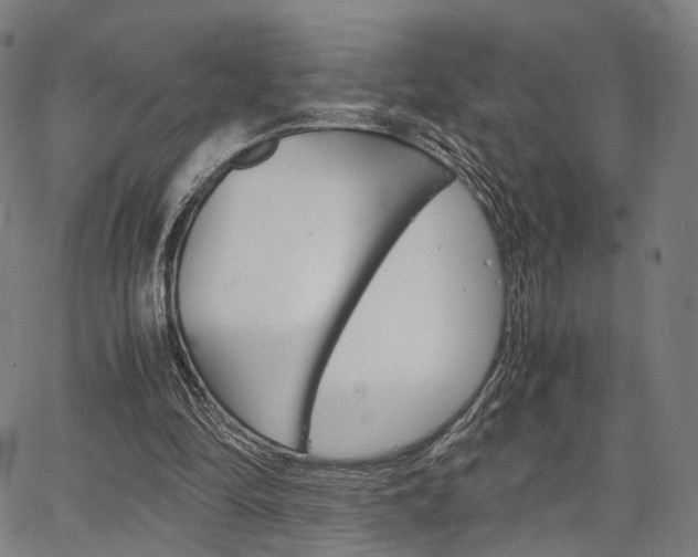 X0000067520294200604071031