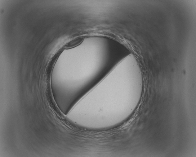 X0000067520295200604071031