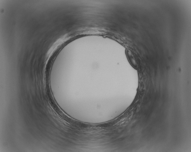 X0000067520296200604071031