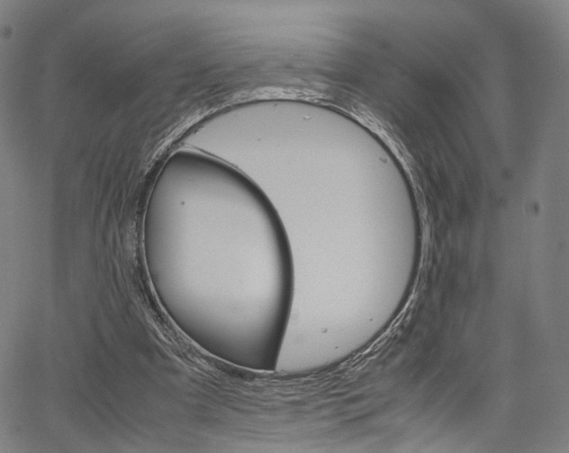 X0000067520297200604071031