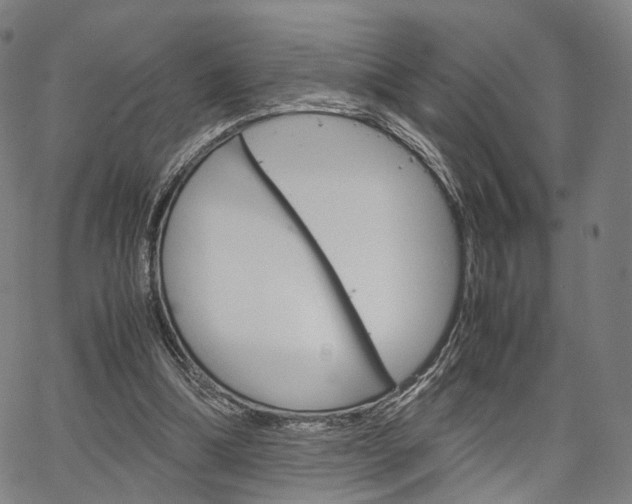 X0000067520298200604071031