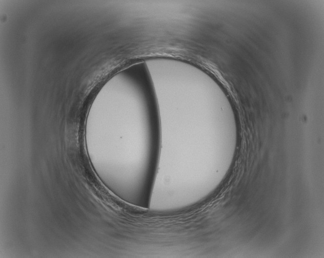 X0000067520299200604071031