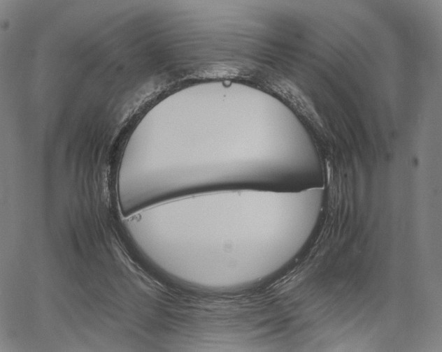 X0000067520300200604071031