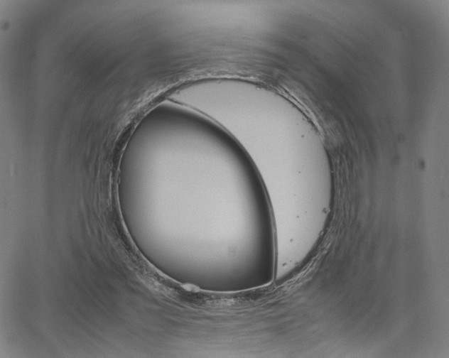 X0000067520301200604071031