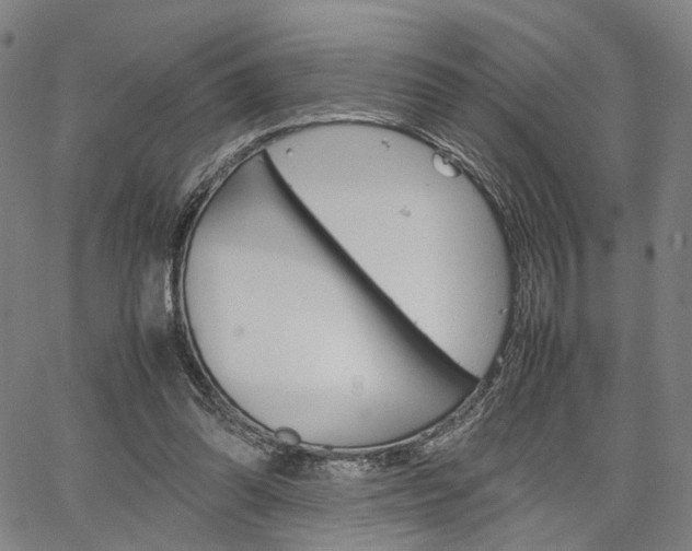 X0000067520302200604071031