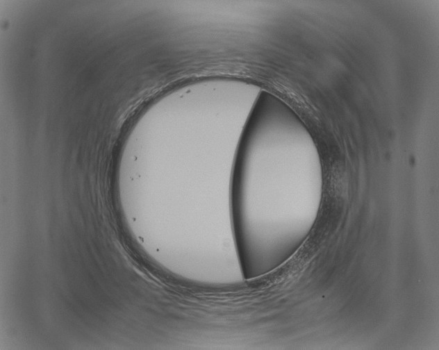 X0000067520303200604071031