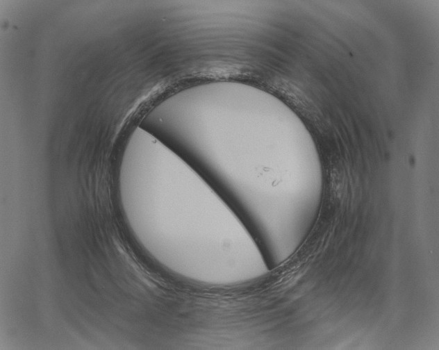 X0000067520304200604071031