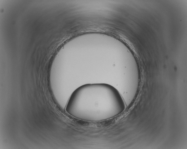 X0000067520305200604071031