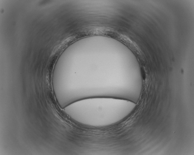 X0000067520306200604071031