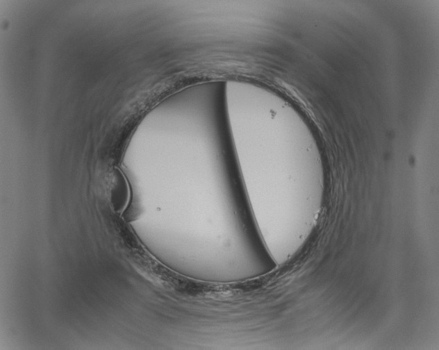 X0000067520307200604071031