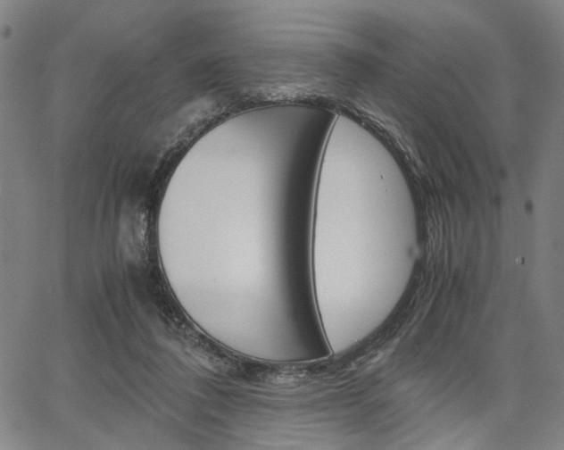 X0000067520308200604071031