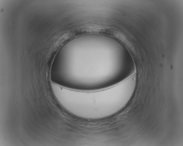 X0000067520309200604071031