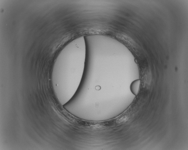 X0000067520310200604071031