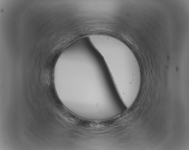 X0000067520311200604071031