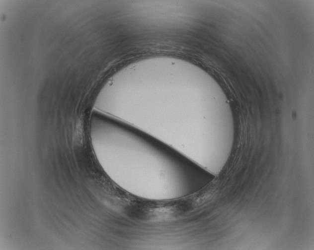 X0000067520312200604071031