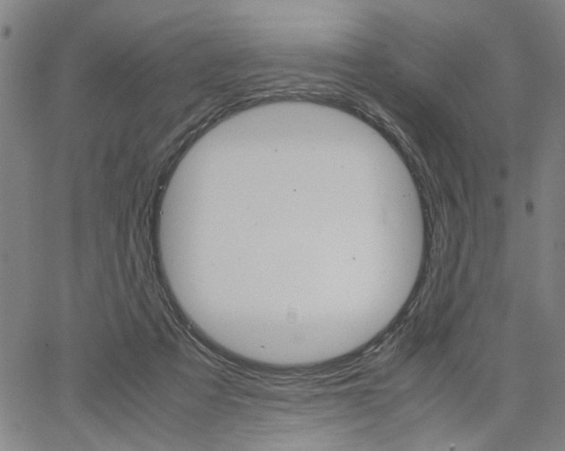 X0000067520313200604071031