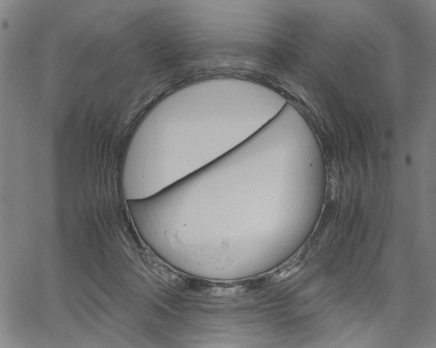 X0000067520314200604071031