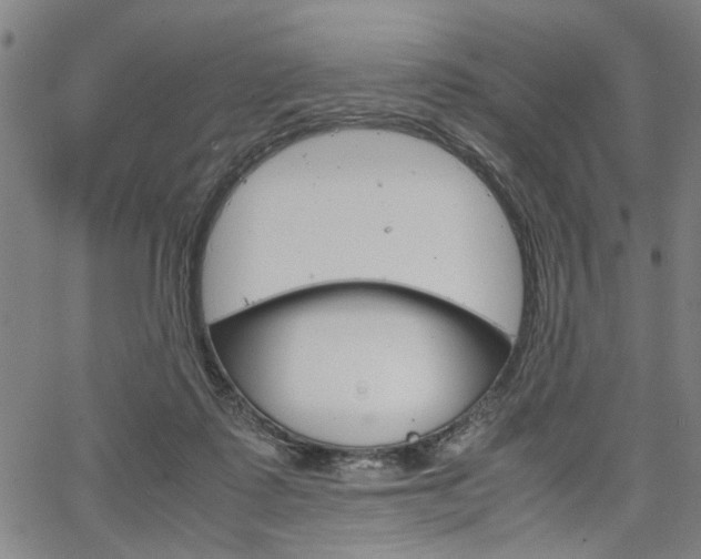 X0000067520315200604071031