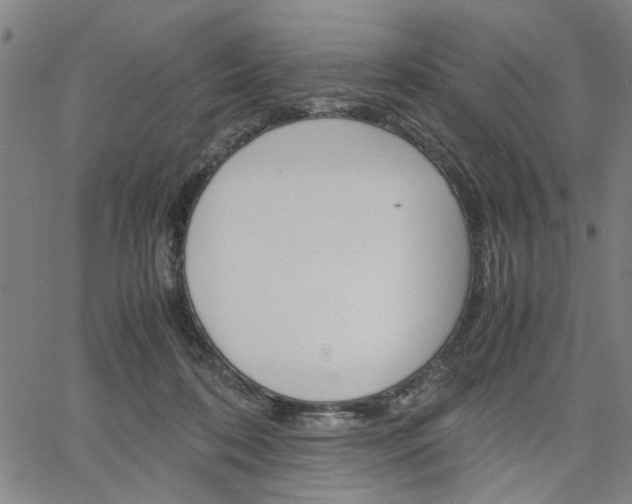 X0000067520316200604071031