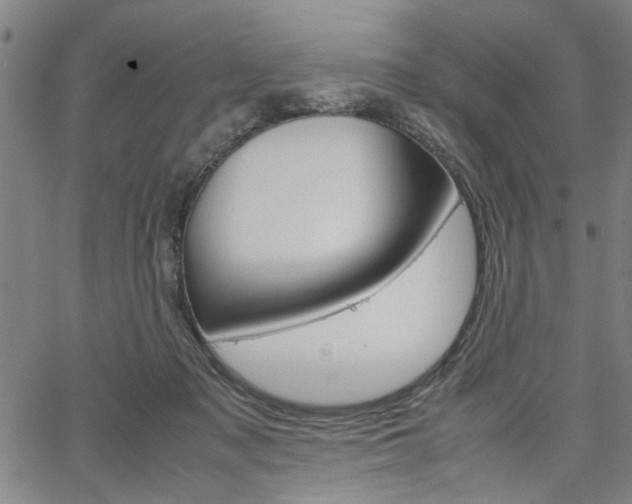 X0000067520317200604071031