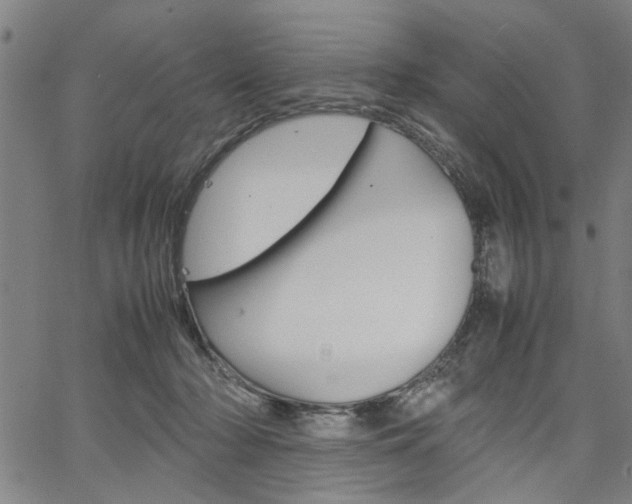 X0000067520318200604071031