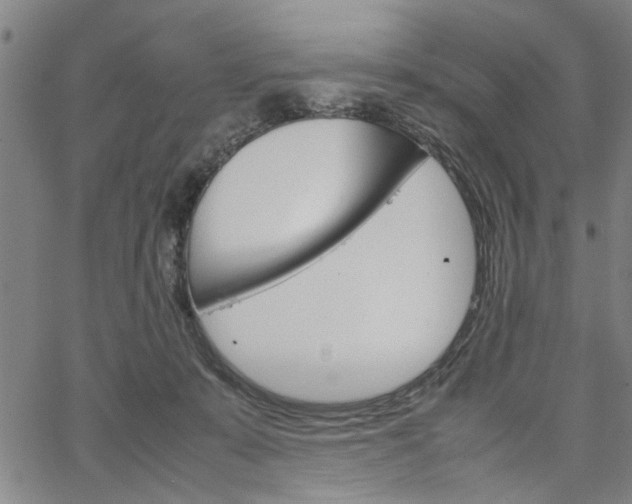 X0000067520319200604071030