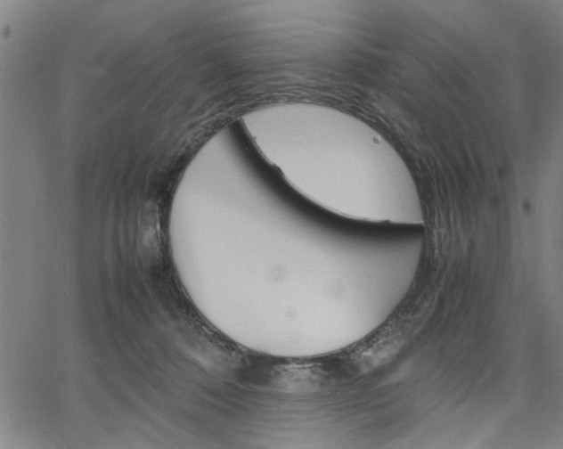 X0000067520320200604071030