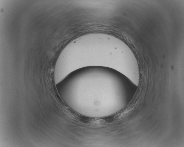 X0000067520321200604071030