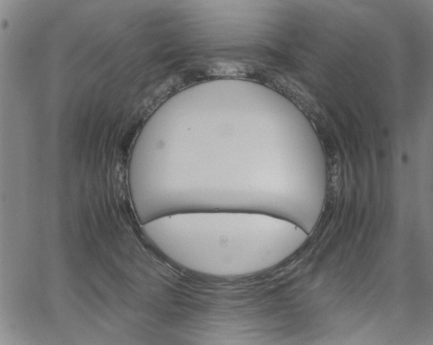 X0000067520322200604071030