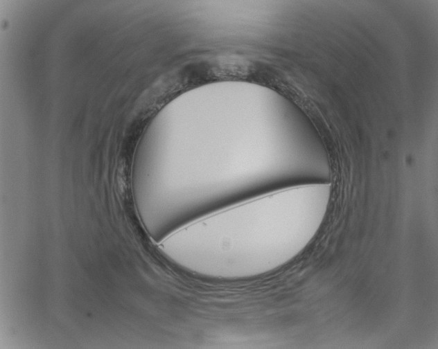 X0000067520323200604071030