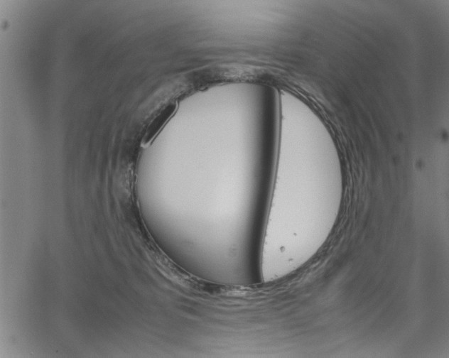 X0000067520325200604071030