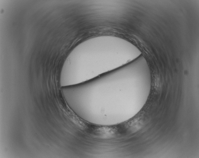 X0000067520326200604071030