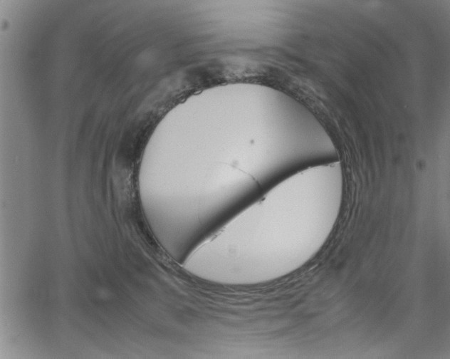 X0000067520327200604071030