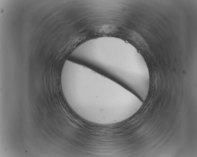 X0000067520328200604071030