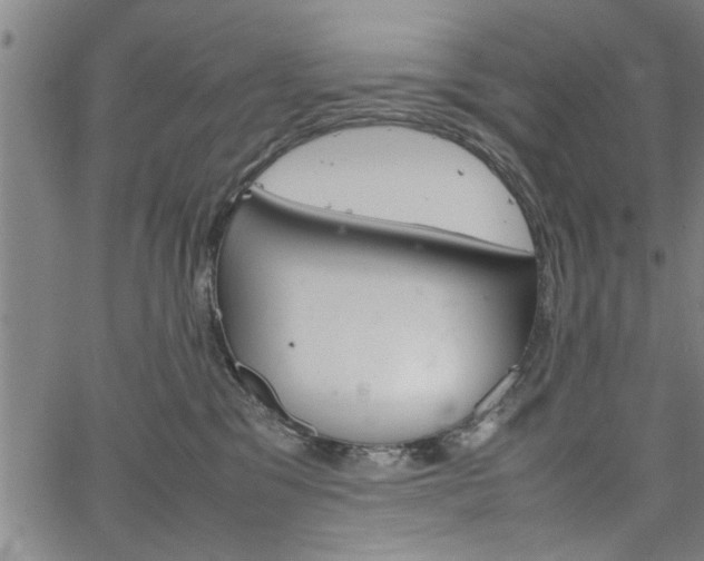 X0000067520329200604071030