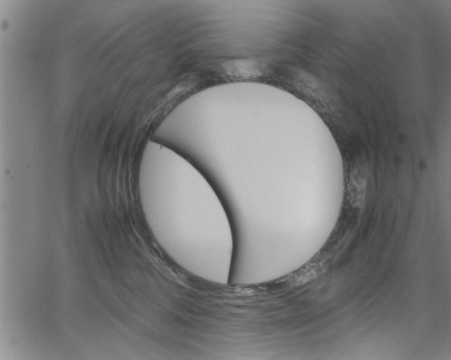 X0000067520330200604071030