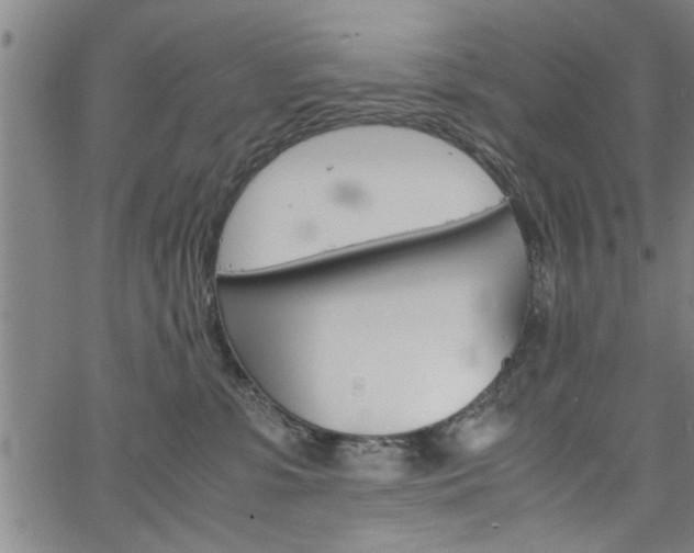 X0000067520331200604071030