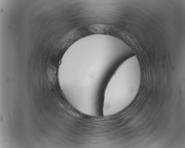 X0000067520332200604071030