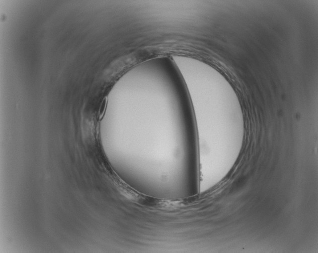 X0000067520333200604071030