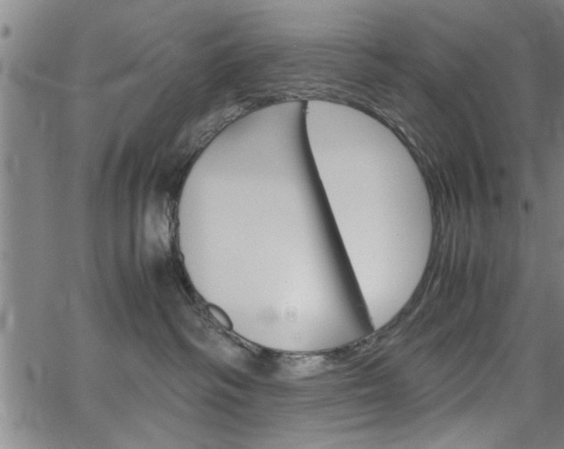 X0000067520334200604071030