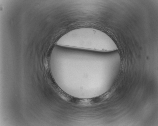 X0000067520335200604071030