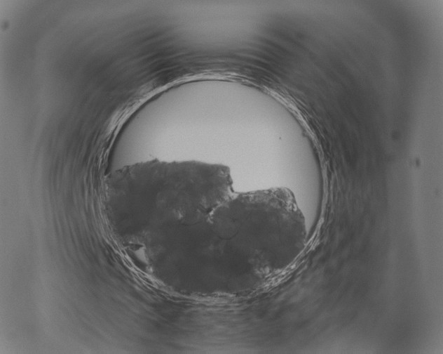 X0000067520337200604071029