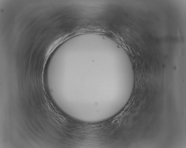 X0000067520340200604071029