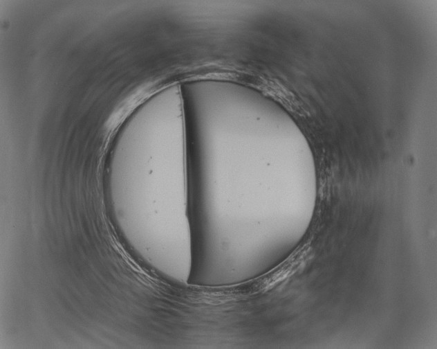 X0000067520341200604071030