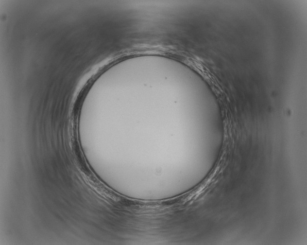 X0000067520342200604071030