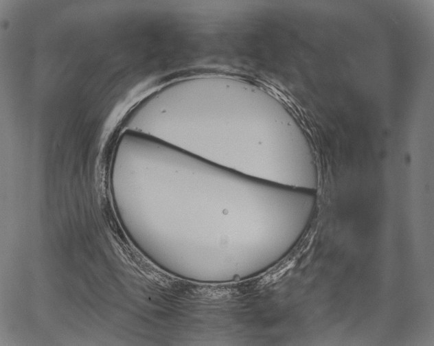 X0000067520343200604071030