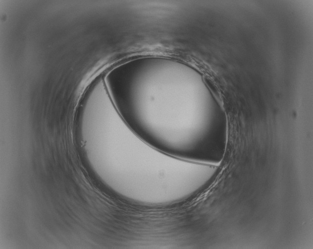 X0000067520344200604071030