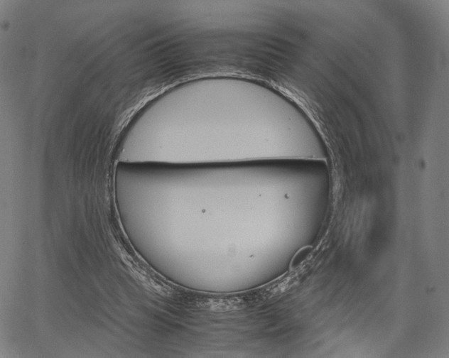 X0000067520345200604071030