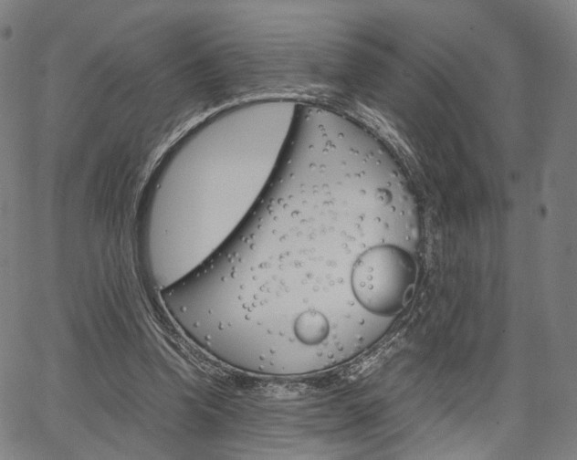 X0000067520346200604071030